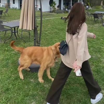 艳遇比赛2